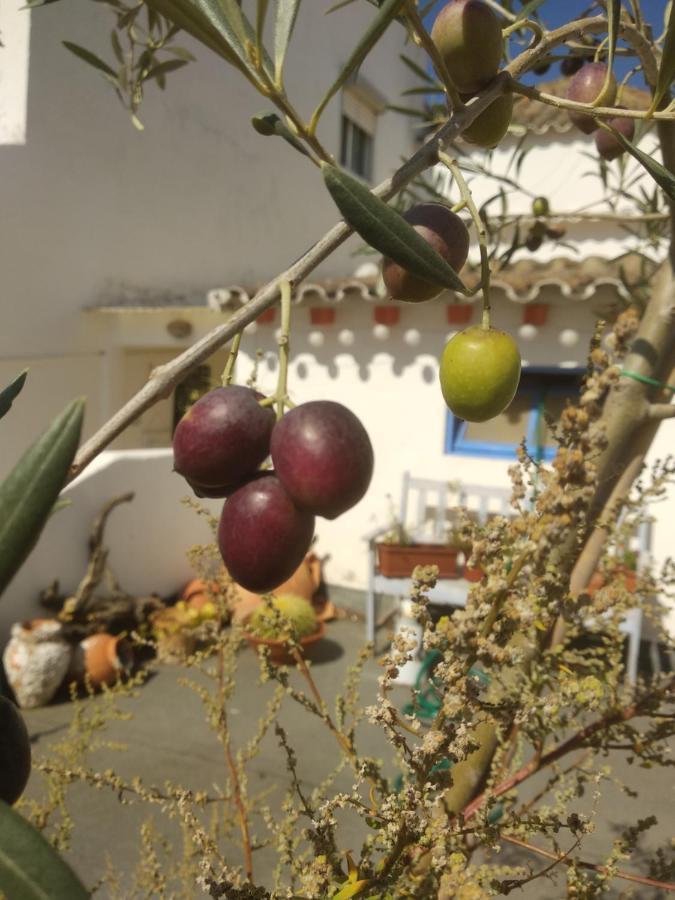 Bea'S Bed & Breakfast Tavira Exterior foto